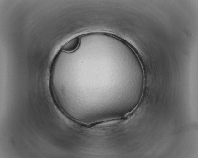 X0000113531508200910091212