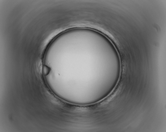 X0000113531509200910091212