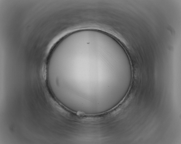 X0000113531510200910091212