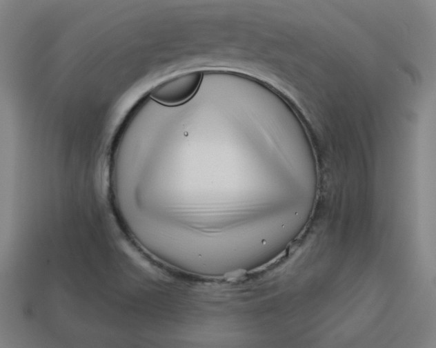 X0000113531511200910091212