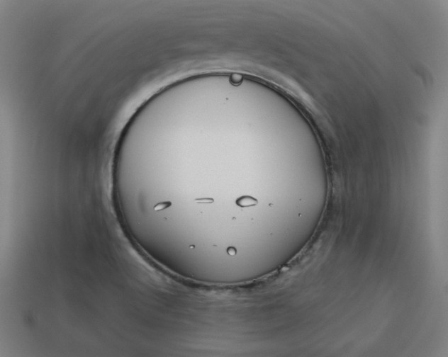 X0000113531512200910091212