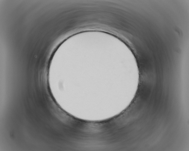 X0000113531514200910091212