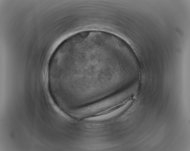 X0000113531515200910091212