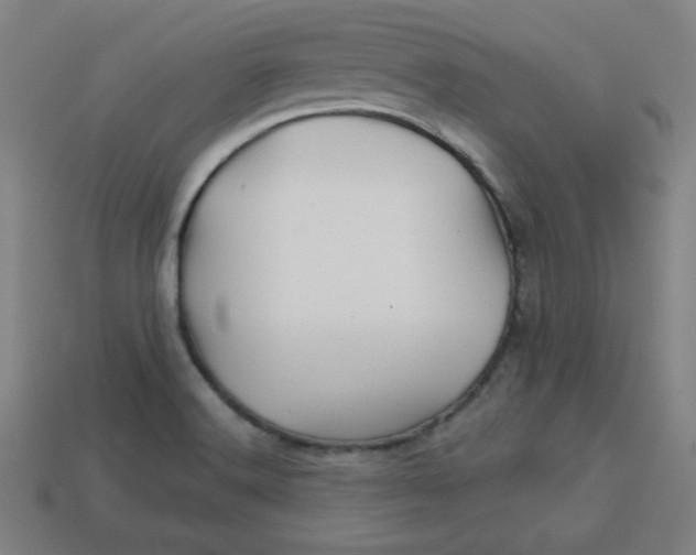 X0000113531516200910091212