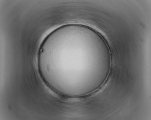 X0000113531517200910091212