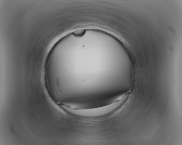 X0000113531518200910091212