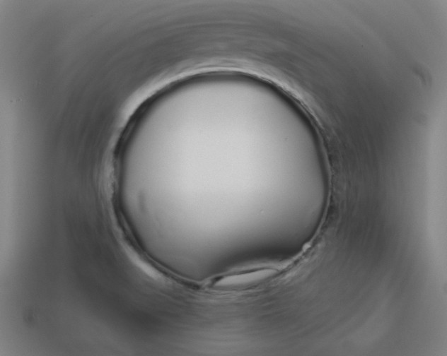 X0000113531519200910091212