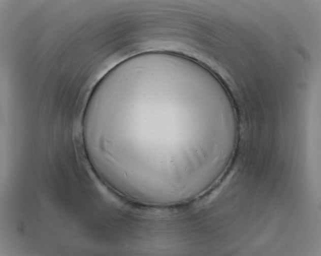 X0000113531521200910091212