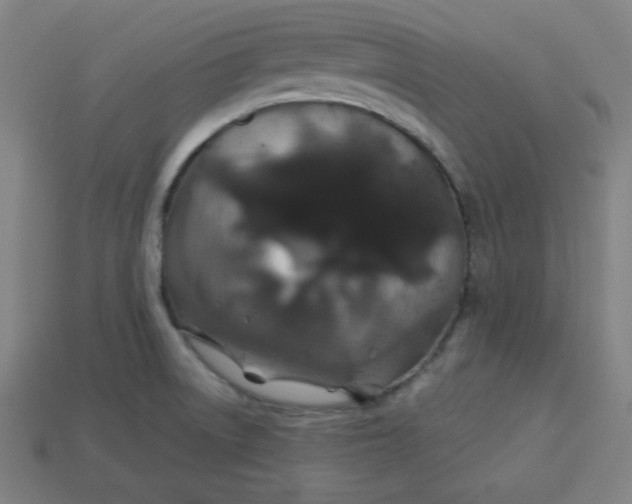 X0000113531522200910091212