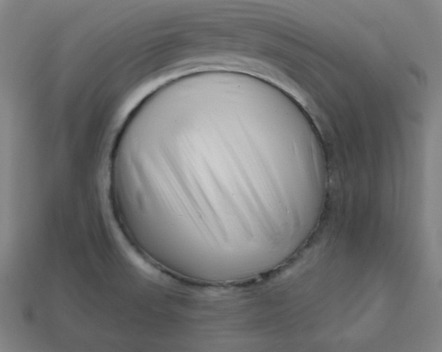 X0000113531523200910091212