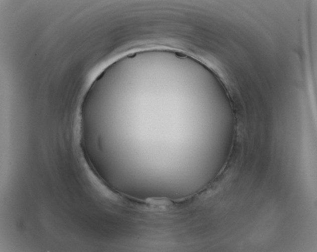 X0000113531524200910091212