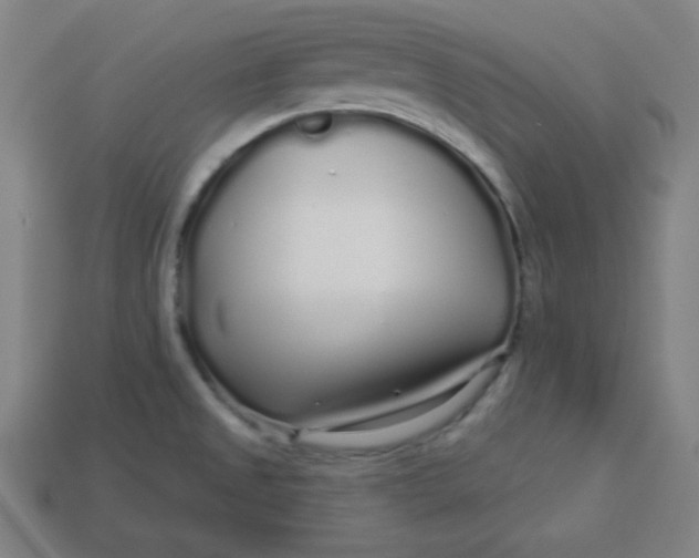 X0000113531525200910091212