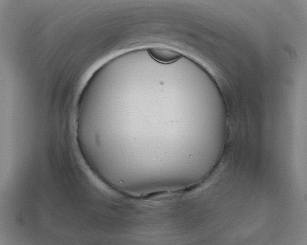 X0000113531526200910091212