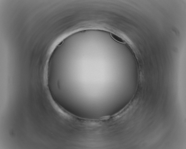 X0000113531528200910091213