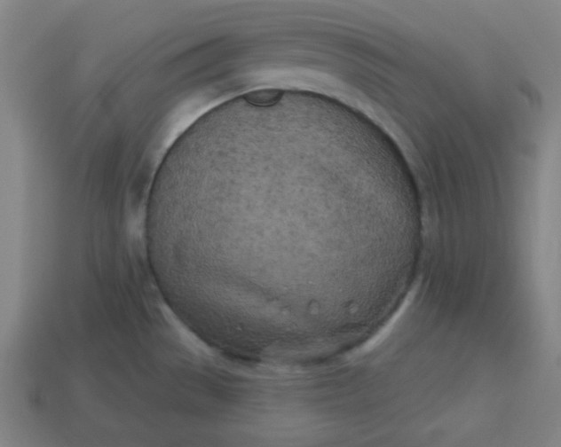 X0000113531529200910091213