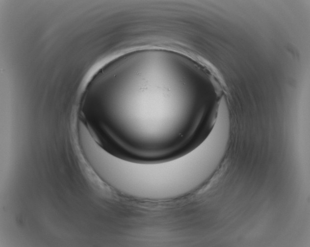 X0000113531530200910091213