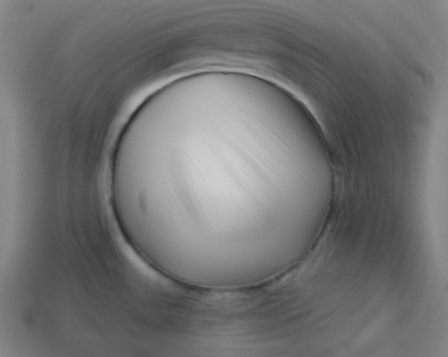 X0000113531531200910091213