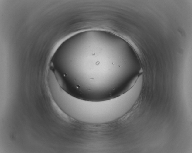 X0000113531532200910091213