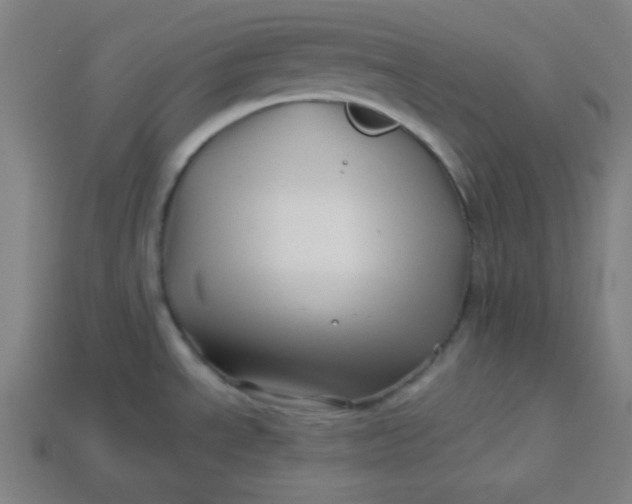 X0000113531534200910091213