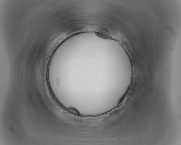 X0000113530001200910161359