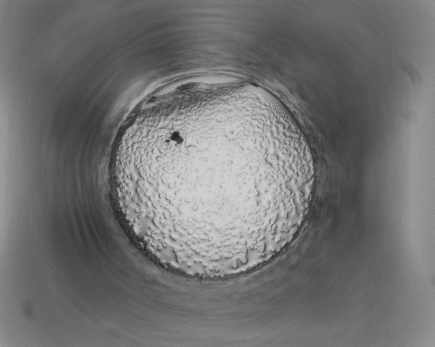 X0000113530002200910161359