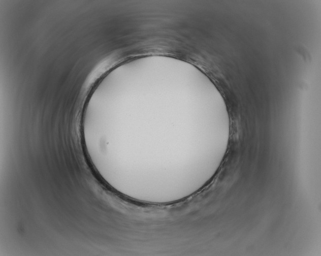 X0000113530004200910161359