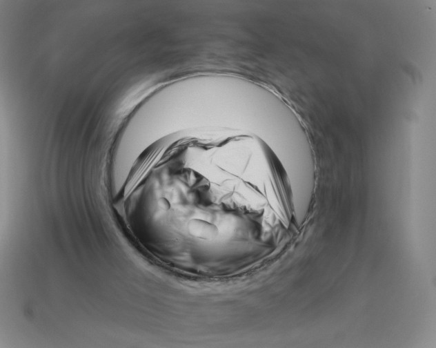 X0000113530005200910161359