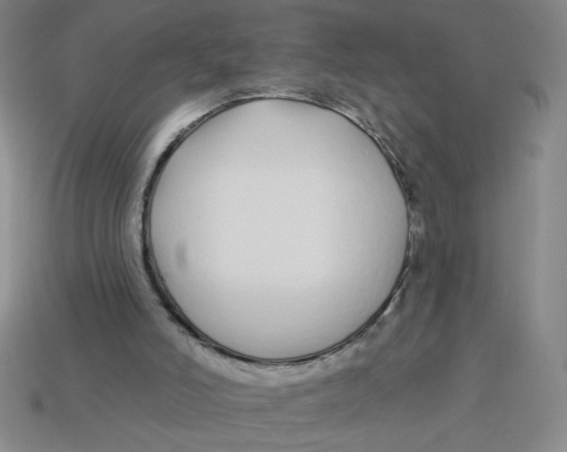 X0000113530006200910161359