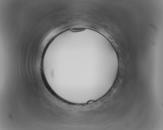 X0000113530007200910161359