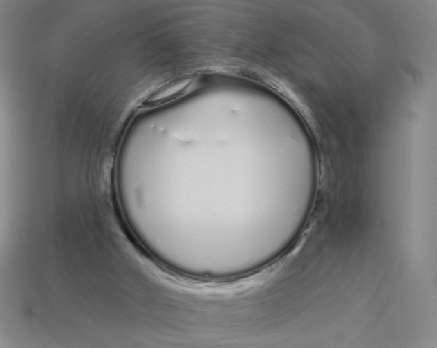 X0000113530010200910161359