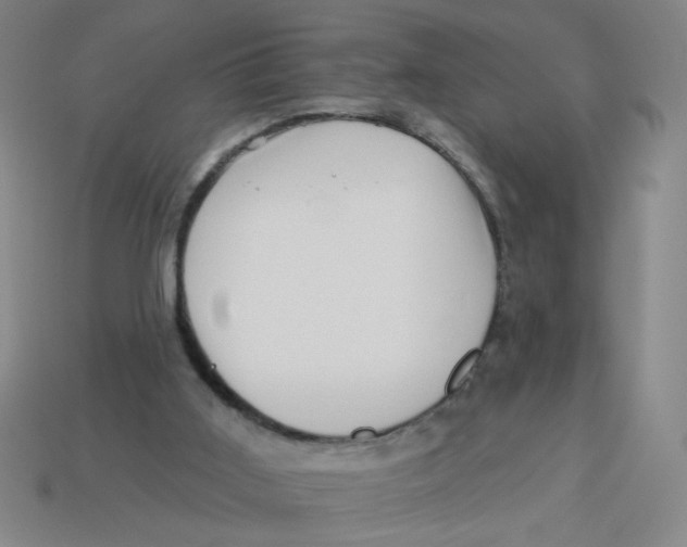 X0000113530011200910161359