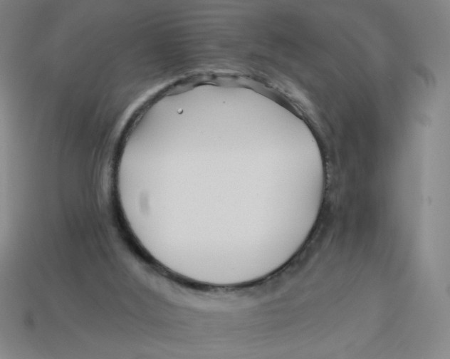 X0000113530012200910161359