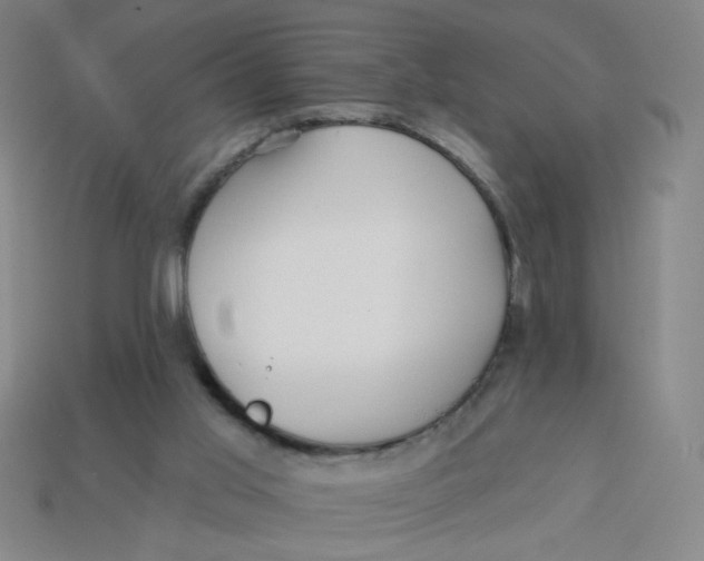 X0000113530013200910161359