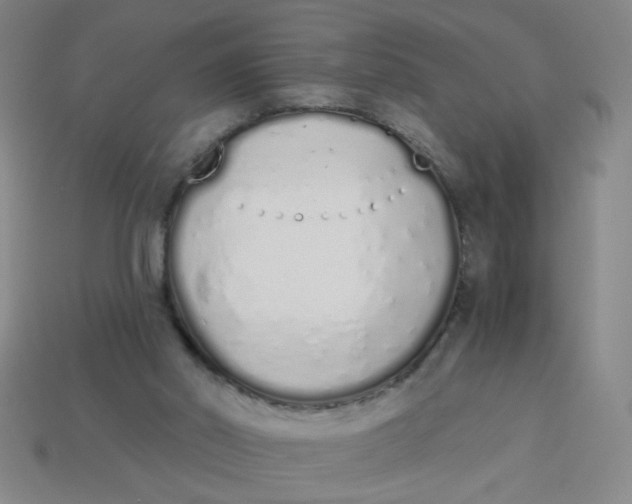 X0000113530014200910161359