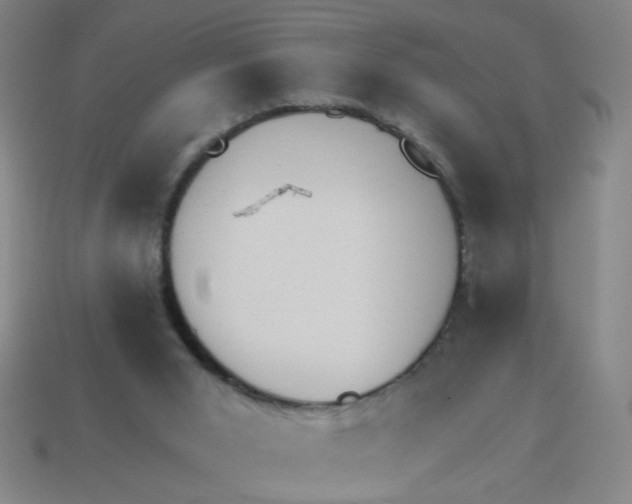 X0000113530015200910161359