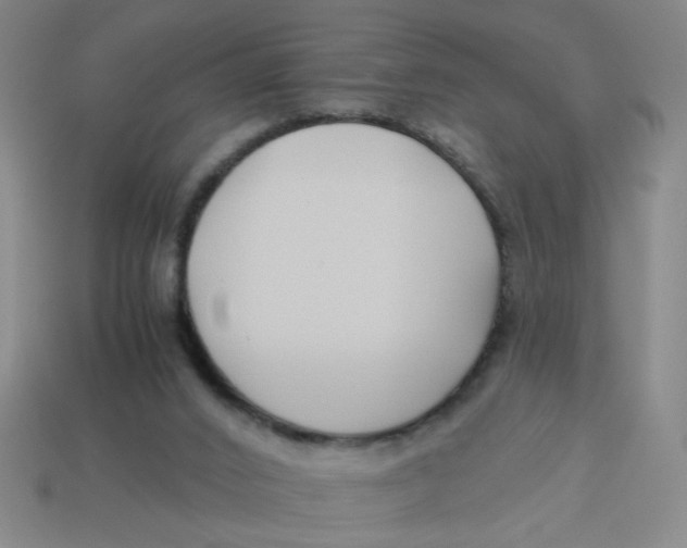 X0000113530016200910161359