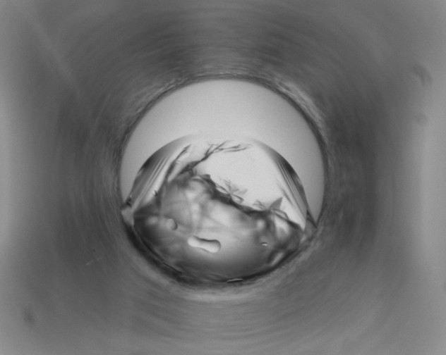 X0000113530017200910161359