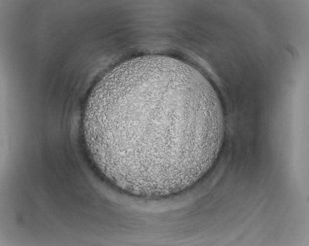 X0000113530018200910161359