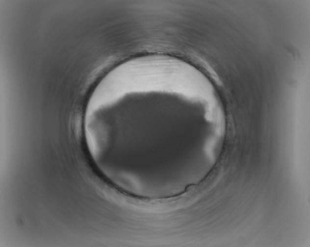 X0000113530019200910161359