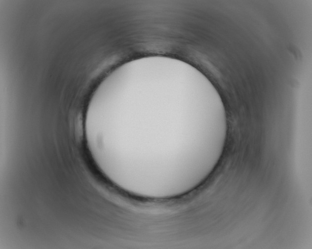 X0000113530020200910161359