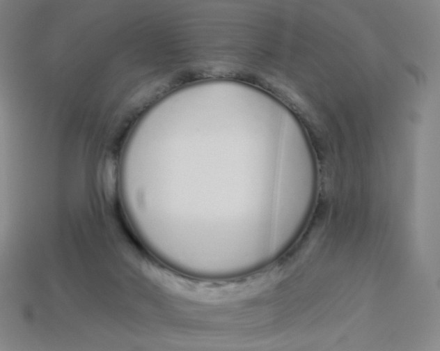 X0000113530022200910161359