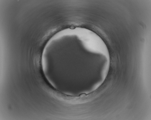 X0000113530023200910161359