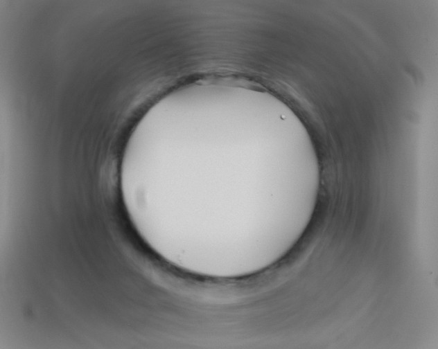 X0000113530024200910161359