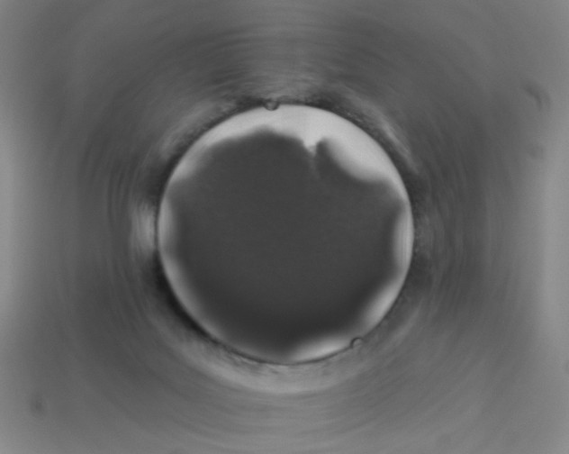 X0000113530027200910161359