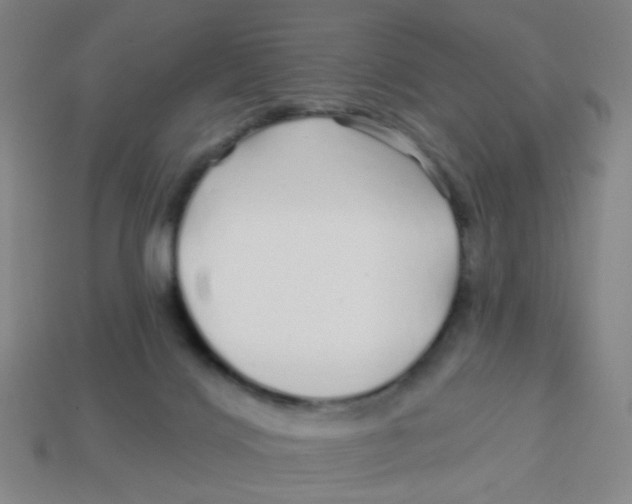 X0000113530028200910161359