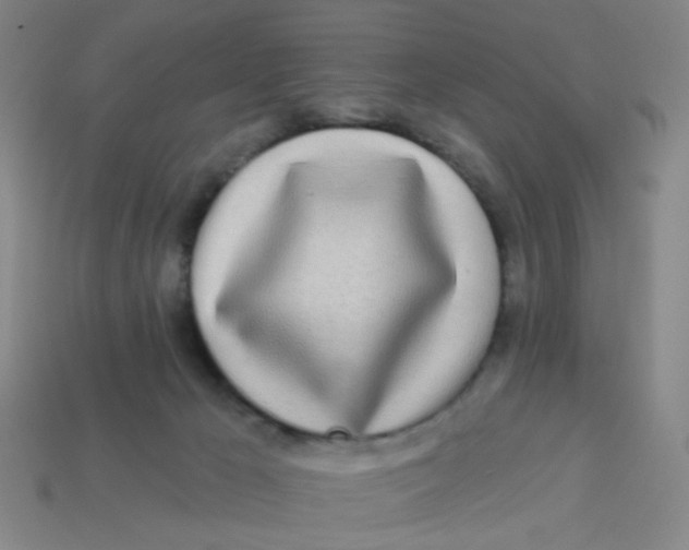 X0000113530029200910161359