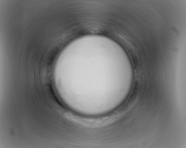 X0000113530030200910161359