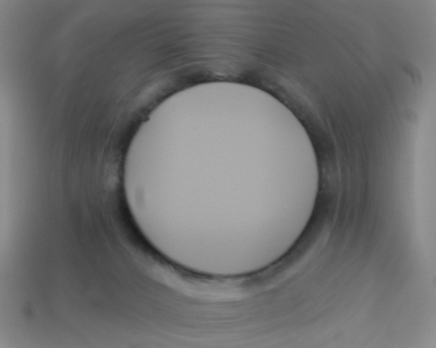 X0000113530032200910161359