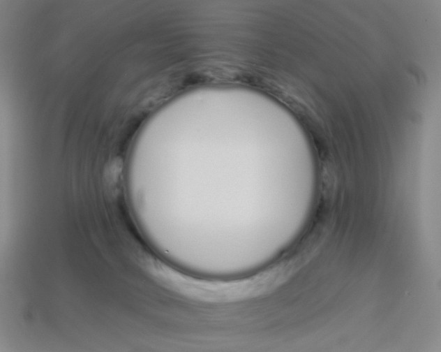 X0000113530034200910161359