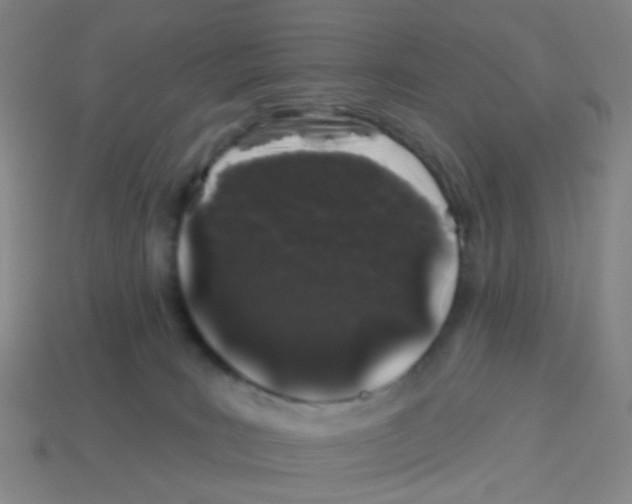 X0000113530035200910161359